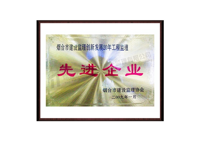 2009創(chuàng)新發(fā)展20年先進企業(yè)